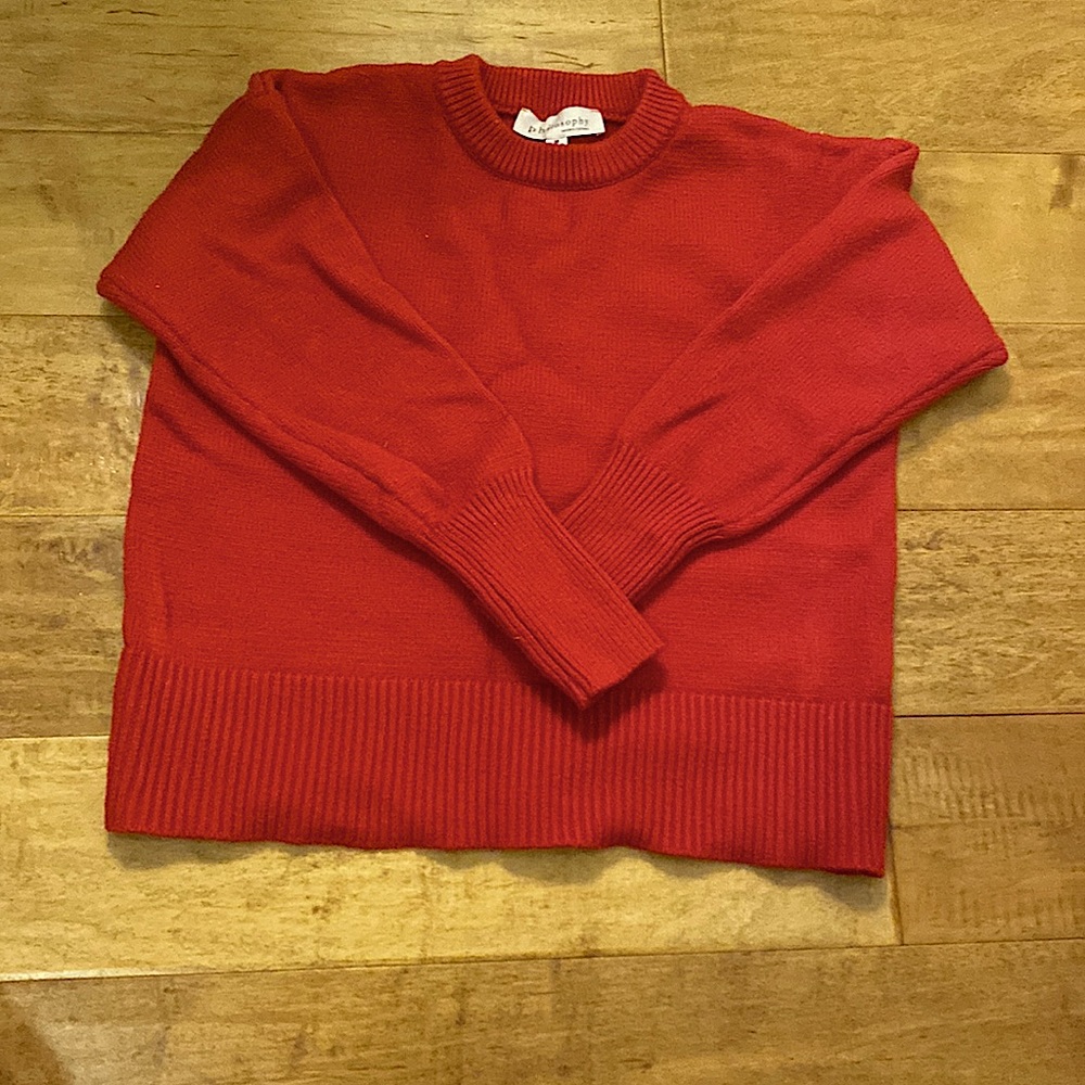 Philosophy Red Crop Sweater